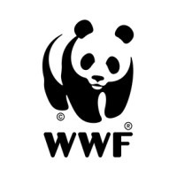 Wwf Internship Wwf Internship