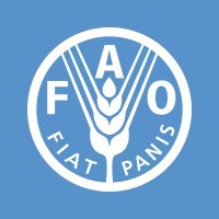Fao Internship Fao Internship